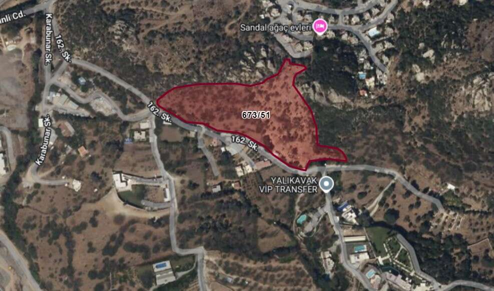 Turizm Cenneti Bodrum'da 126,5 Milyon TL Değerinde Zeytinli Tarla Mahkemeden Satışa Çıkarıldı 6